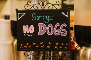 Charming hand-drawn 'No Dogs' sign in a warm cafe ambiance, ideal for dog-free establishments.